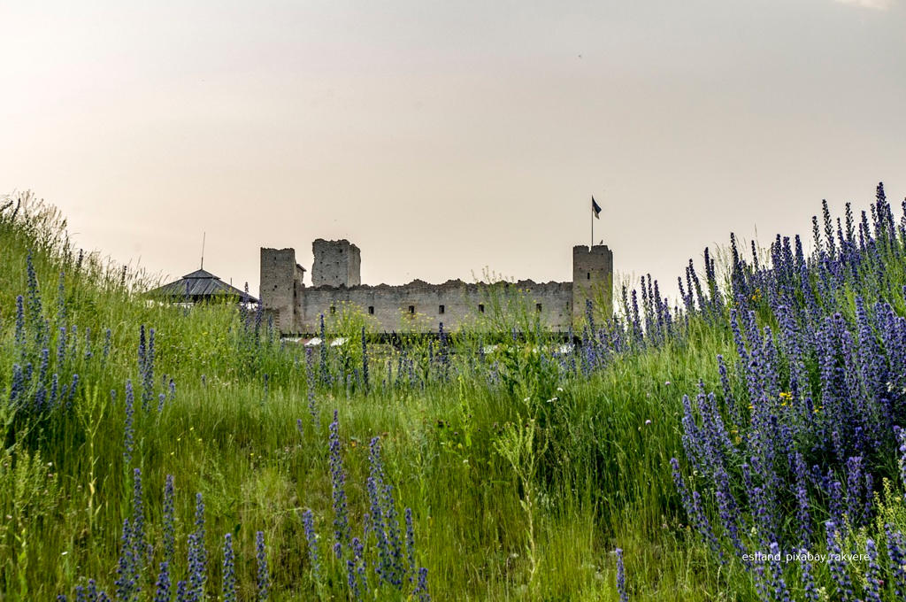 Estland Rakvere Burg