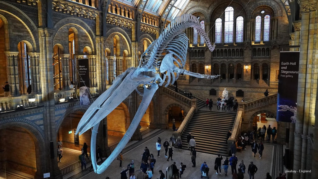 England London Natural History Museum